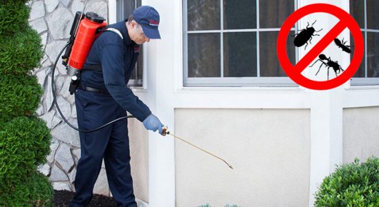Balıkesir Böcek ve Haşere İlaçlama böcek ilaçlama ve haşere kontrolü — ilaclama-tr.com